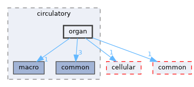 organ