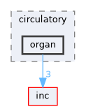 organ