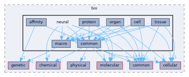 neural