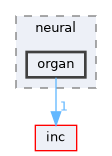 organ