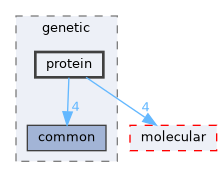 protein