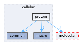 protein