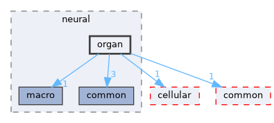 organ