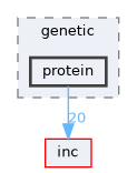 protein
