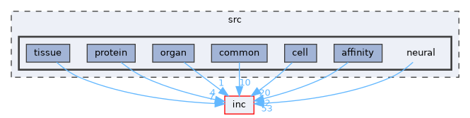 neural