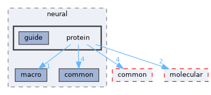 protein
